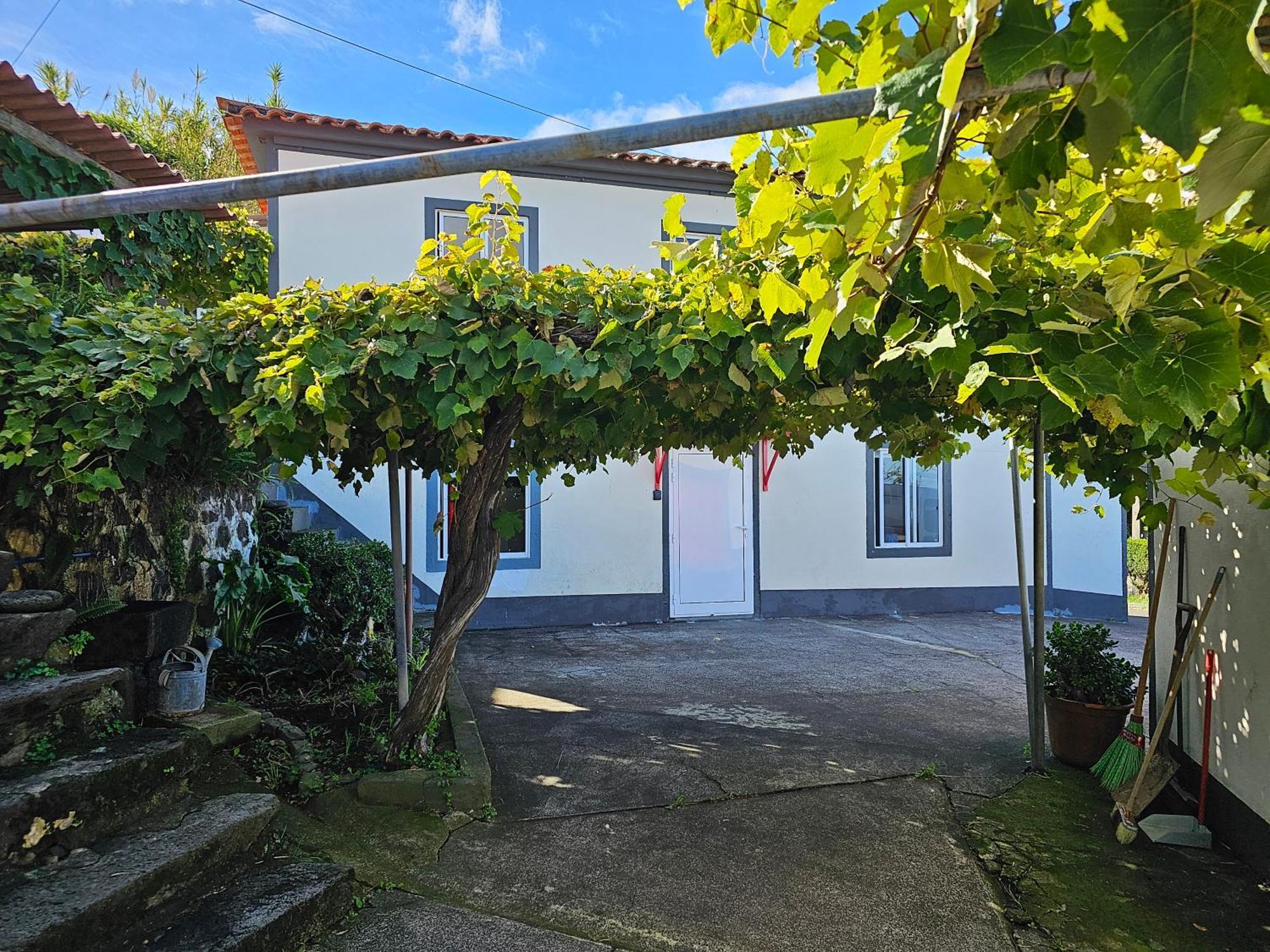 Casa Anjos Holiday Cottages Cedros Exteriör bild