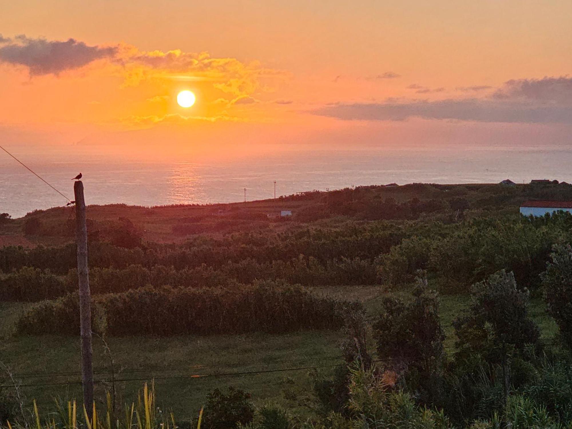 Casa Anjos Holiday Cottages Cedros Exteriör bild