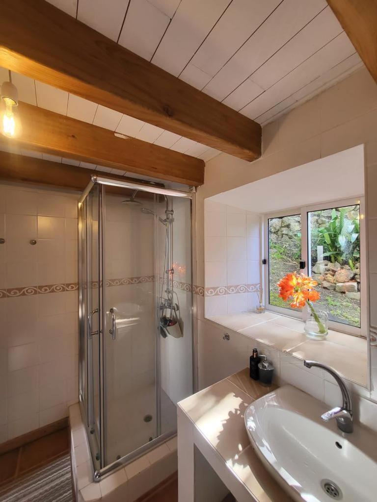 Casa Anjos Holiday Cottages Cedros Exteriör bild