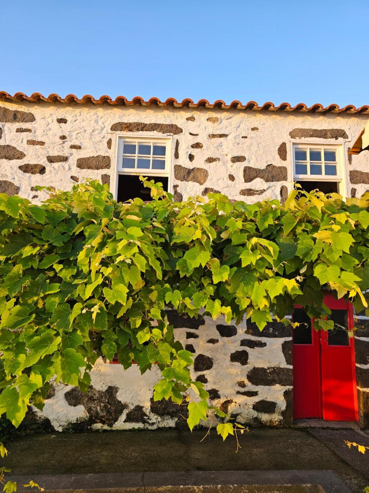 Casa Anjos Holiday Cottages Cedros Exteriör bild