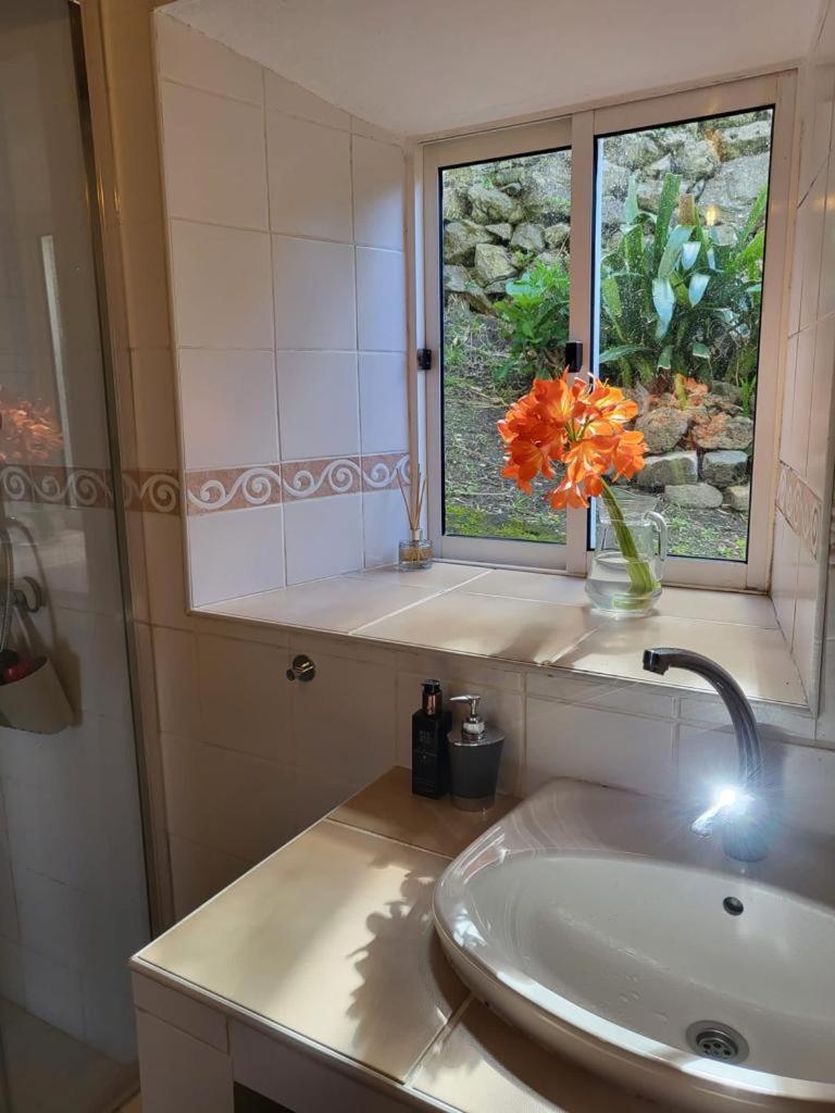 Casa Anjos Holiday Cottages Cedros Exteriör bild