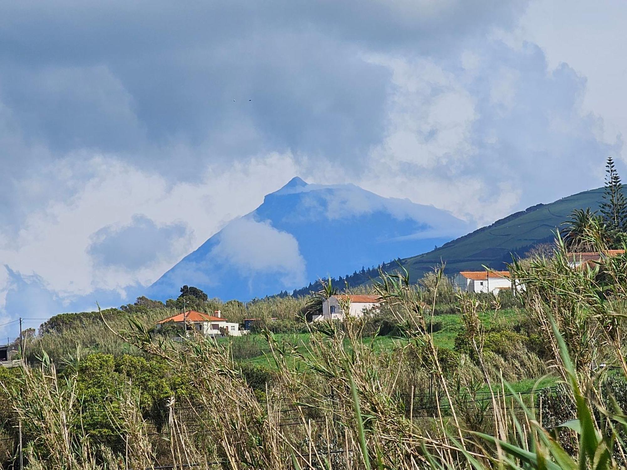 Casa Anjos Holiday Cottages Cedros Exteriör bild